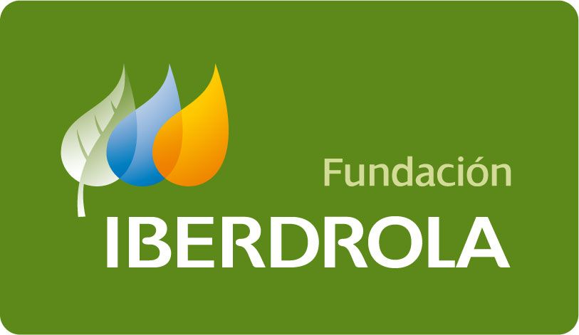 logo fundacion iberdrola